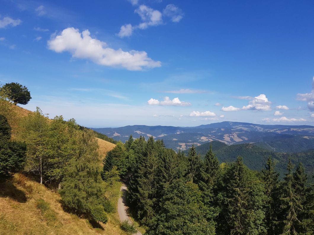 You are currently viewing Wanderung über den Hinterwaldkopf