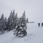 Schneeschuhtour durch das Feldberggebiet