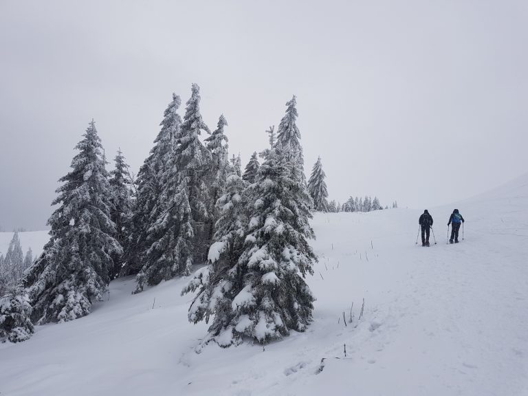 Read more about the article Schneeschuhtour durch das Feldberggebiet