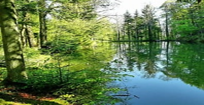 Wanderung Günterstal