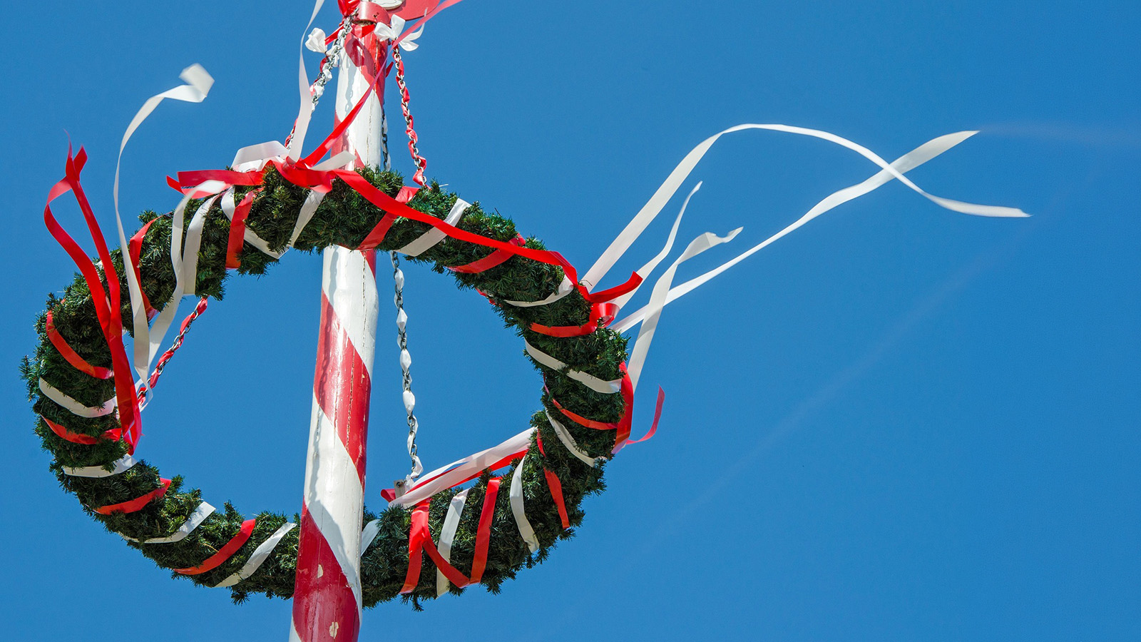 Maibaumstellen & Hock