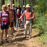 Wanderung im Bereich Waldkirch