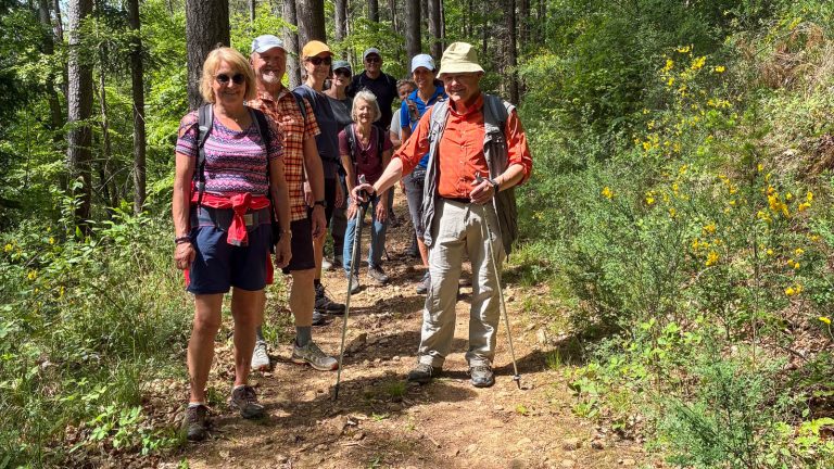 Mehr über den Artikel erfahren Wanderung im Bereich Waldkirch