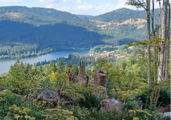 Schluchsee